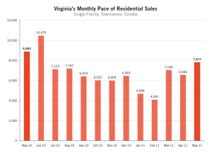 vertical line graph showing sales by month